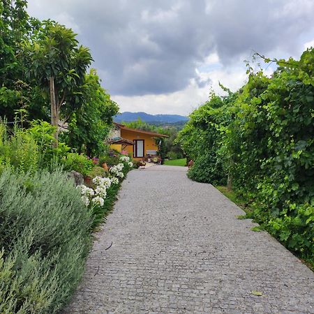 Casa Matreiro Villa Prozelo Dış mekan fotoğraf