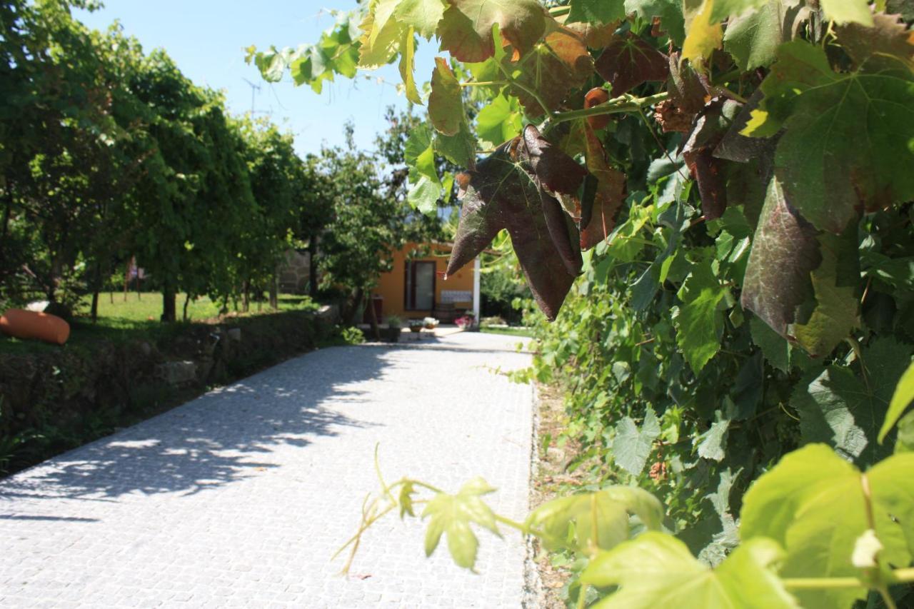 Casa Matreiro Villa Prozelo Dış mekan fotoğraf