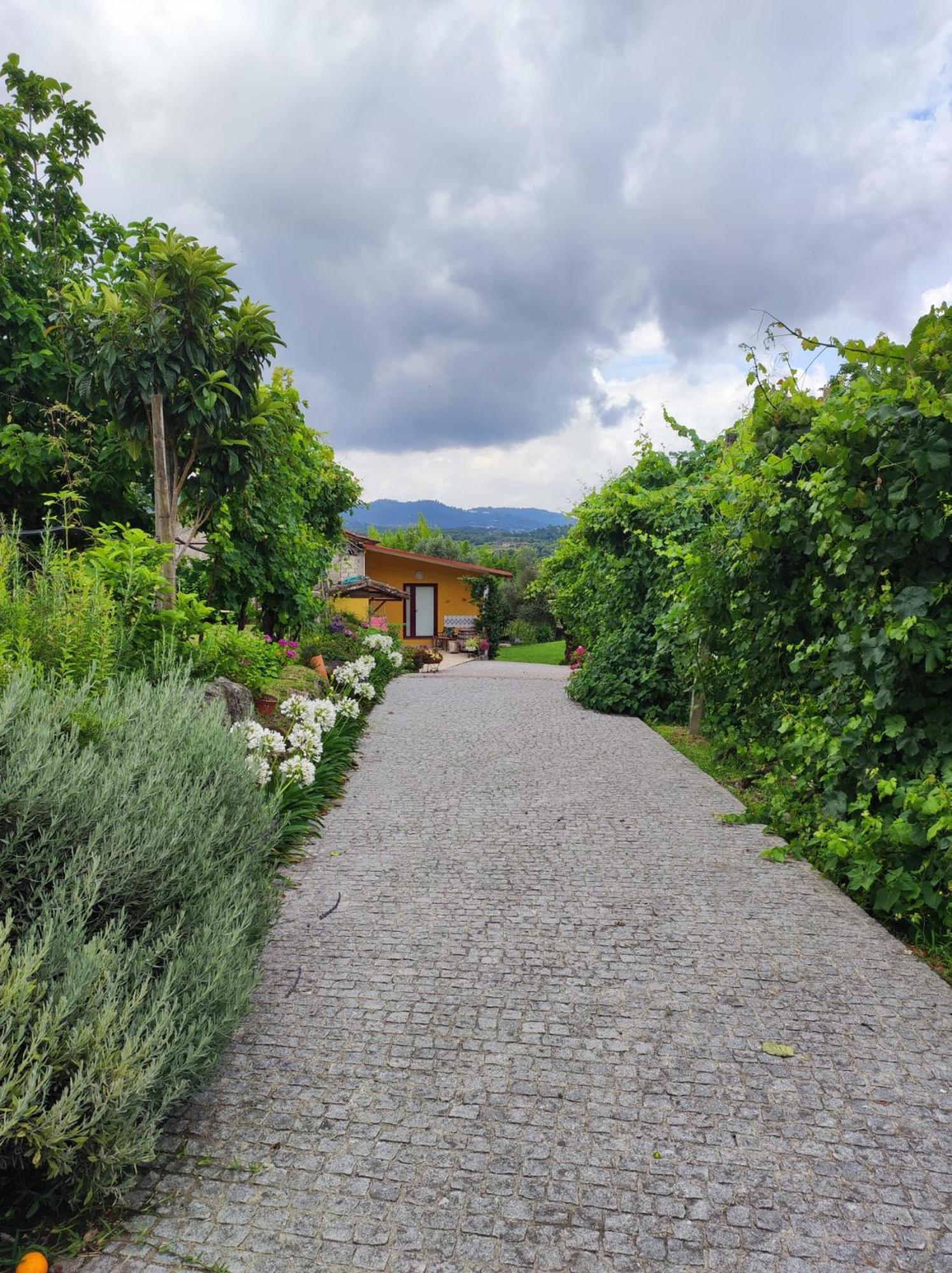 Casa Matreiro Villa Prozelo Dış mekan fotoğraf