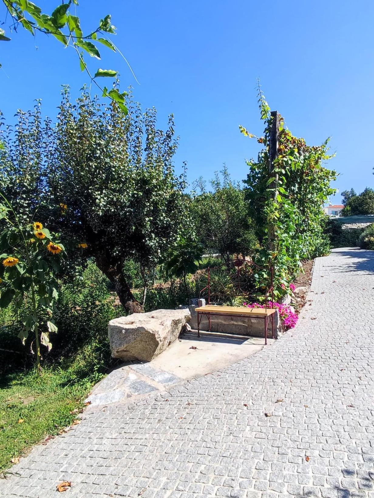 Casa Matreiro Villa Prozelo Dış mekan fotoğraf