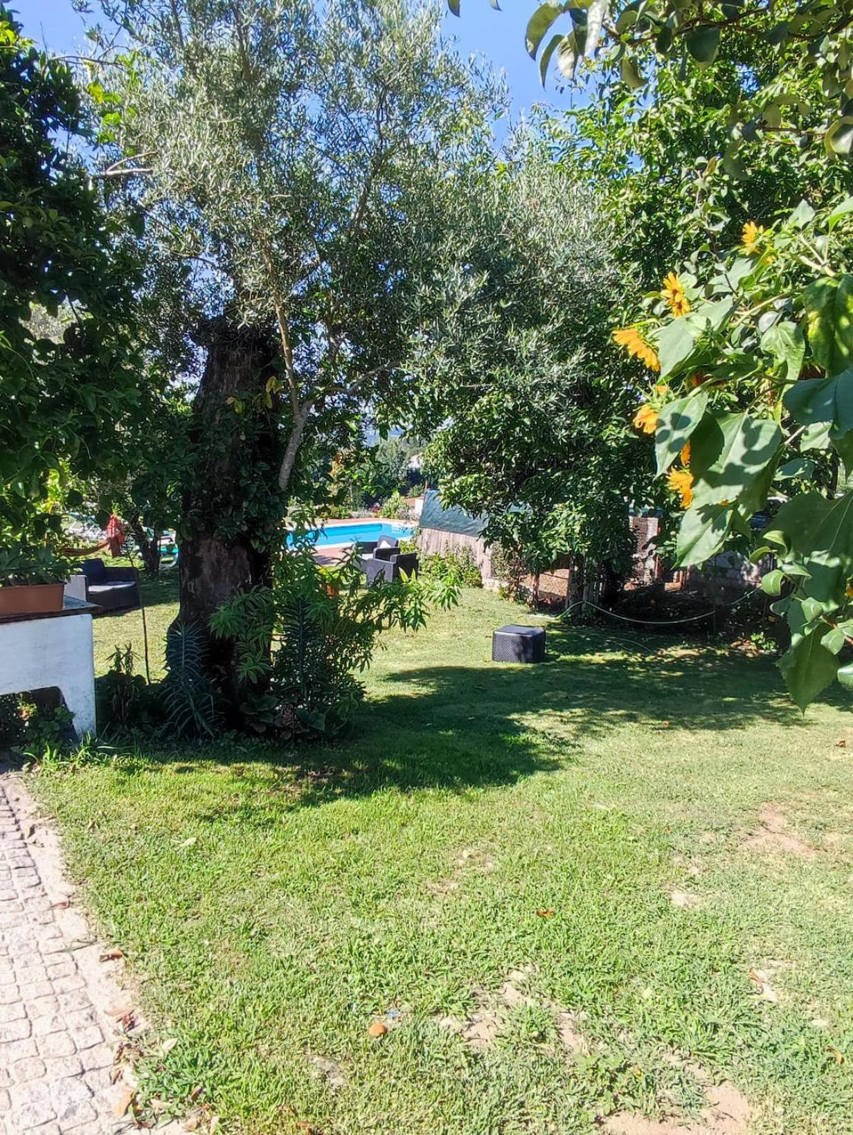 Casa Matreiro Villa Prozelo Dış mekan fotoğraf